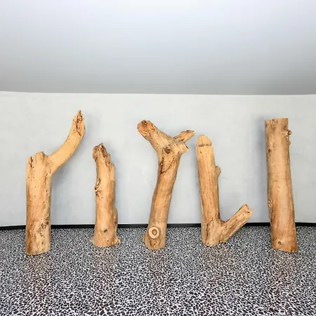 Charming Garden Hideaway In By Rent